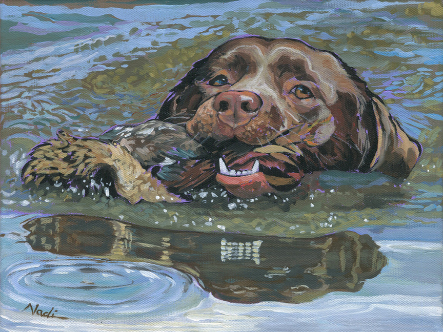 NS – Dogs, Labrador Retriever – 20-110 Lab in Water 9×12 © Nadi Spencer
