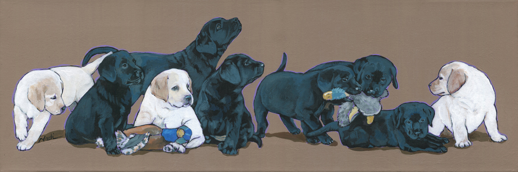 NS – Dogs, Labrador Retriever Puppies – 17-174 Nine Lab puppies 10×30 © Nadi Spencer