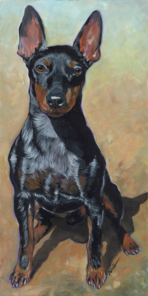 NS – Dogs, Manchester Terrier – 22-152 Knuckles 20×10 © Nadi Spencer
