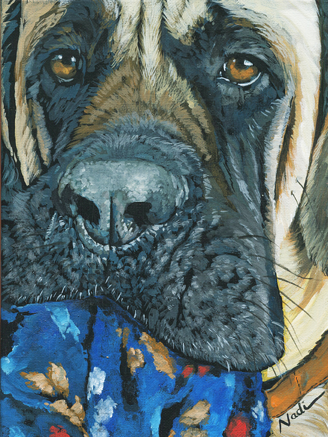 NS – Dogs, Mastiff – 19-134 Olivia 2×9 © Nadi Spencer