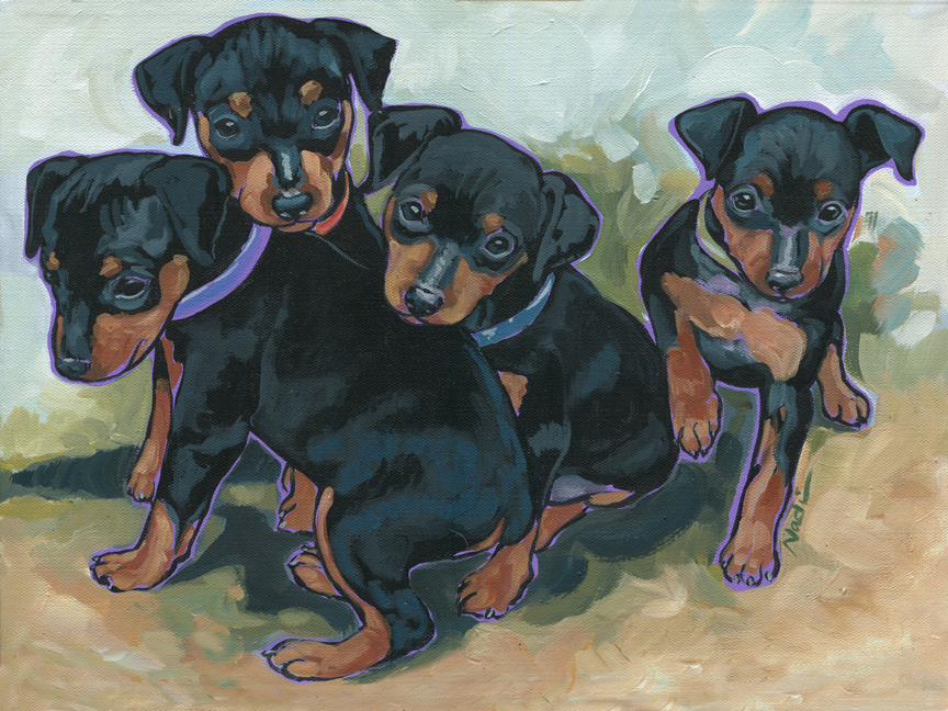 NS – Dogs, Miniature Pinscher, Puppies – 15-126 Min Pin Pups 12×16 © Nadi Spencer