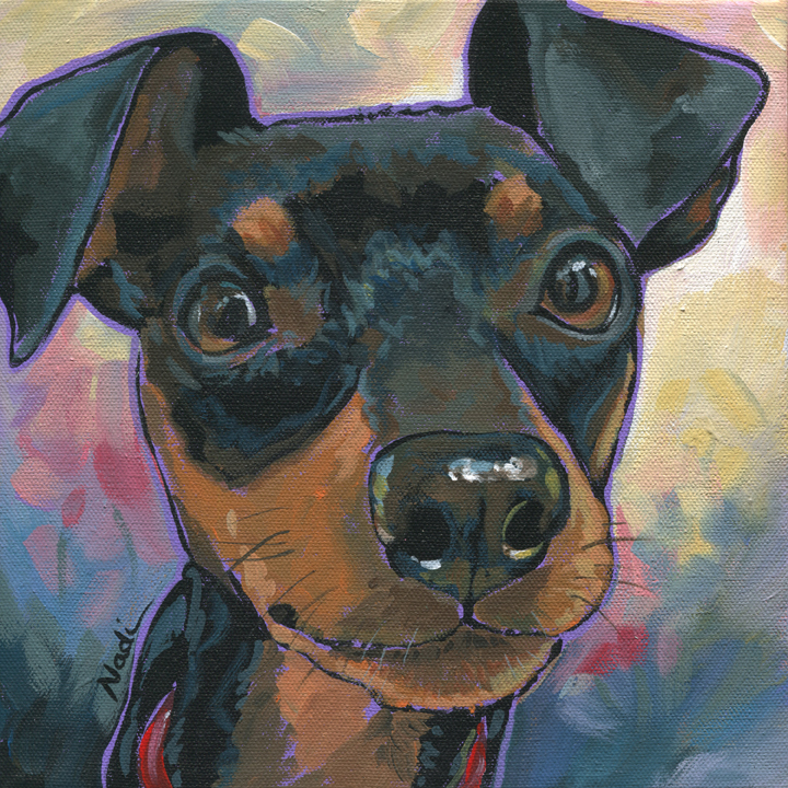 NS – Dogs, Miniature Pinscher, Toy – 15-178 Candy 10×10 © Nadi Spencer