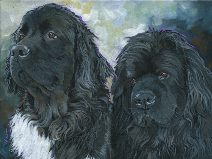NS – Dogs, Newfoundland – 19-211 Two Newfies 12×16 © Nadi Spencer