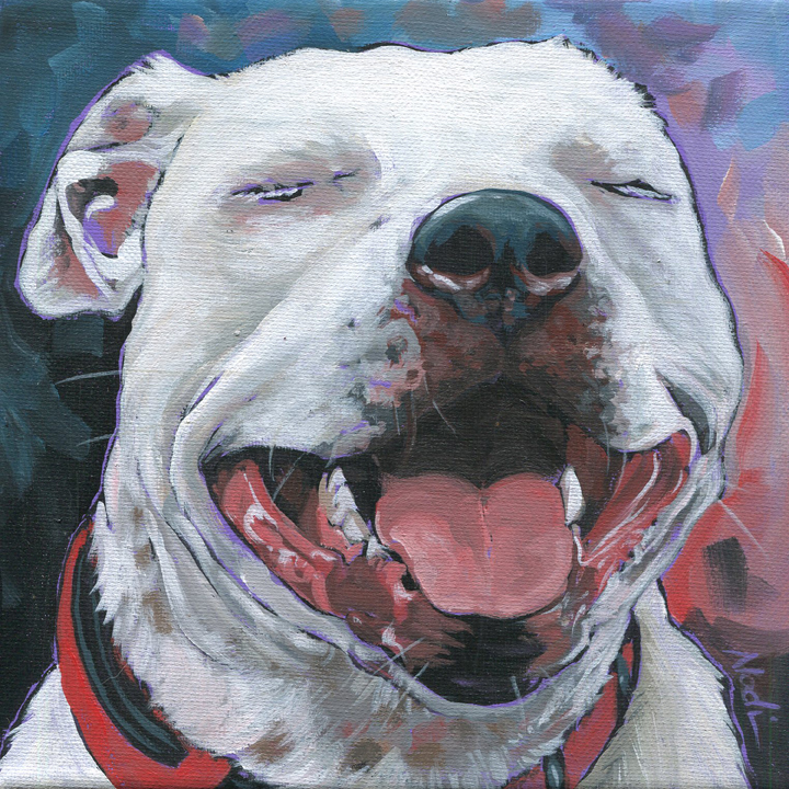 NS – Dogs, Pitbull – 20-160 Duffy 10×10 © Nadi Spencer
