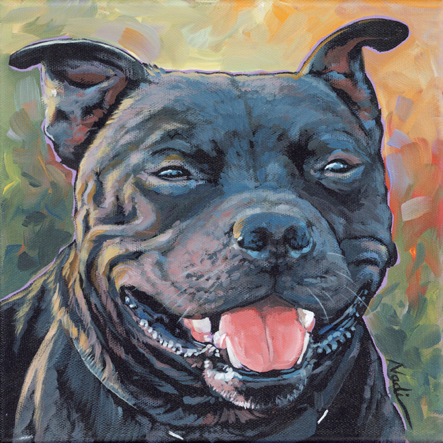NS – Dogs, Pitbull – 22-47 Staffy 10×10 © Nadi Spencer