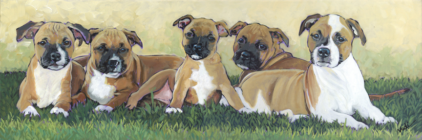 NS – Dogs, Pitbull – 22-73 Five Staffy Pups 10×30 © Nadi Spencer