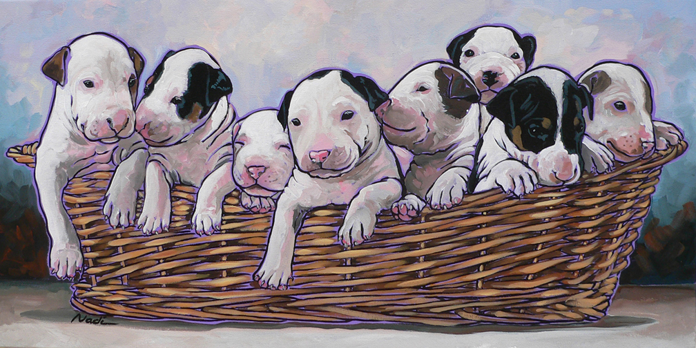 NS – Dogs, Pitbull, Puppies – 15-72 Bull Terrier Puppies 15×30 © Nadi Spencer