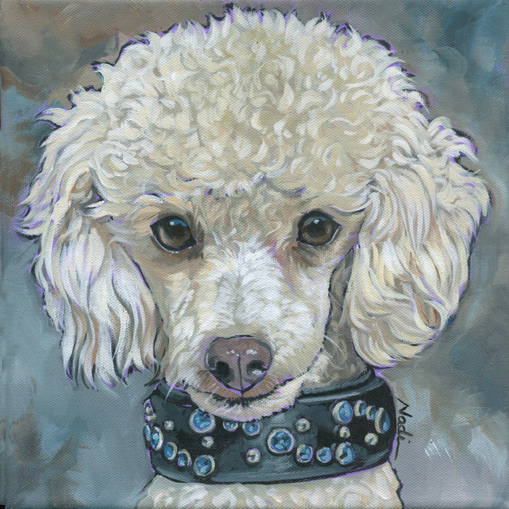 NS – Dogs, Poodle – 21-121 Francis 10×10 © Nadi Spencer