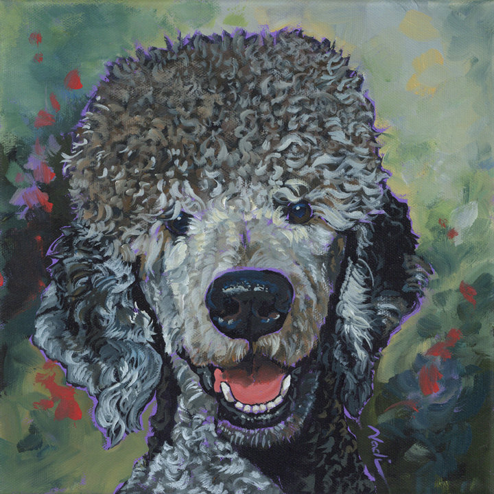 NS – Dogs, Poodle – 23-65 Shade © Nadi Spencer