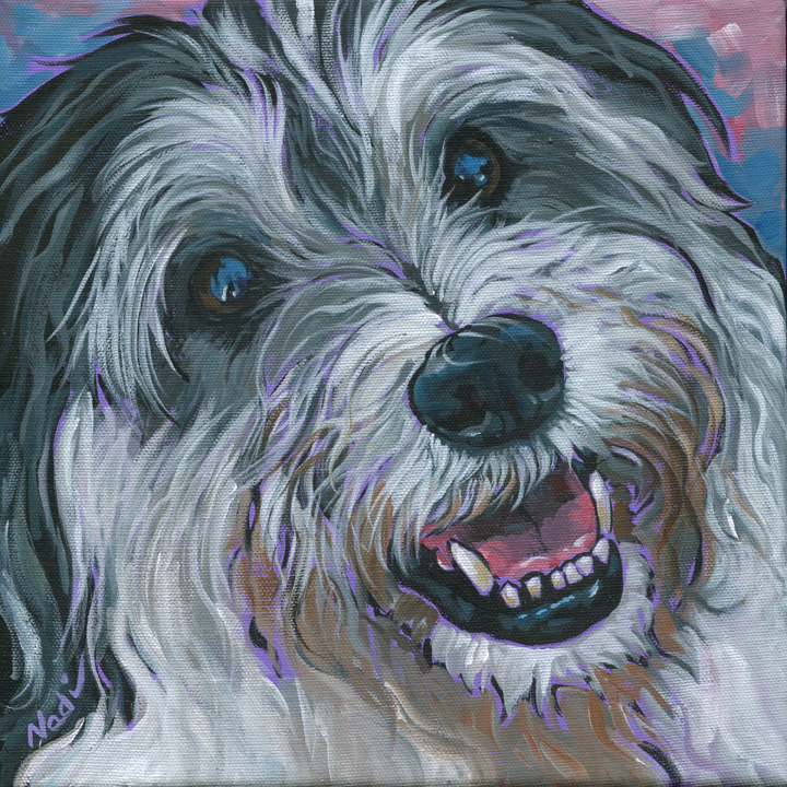 NS – Dogs, Pyrenean Sheepdog – 15-253 Mosely 10×10 © Nadi Spencer