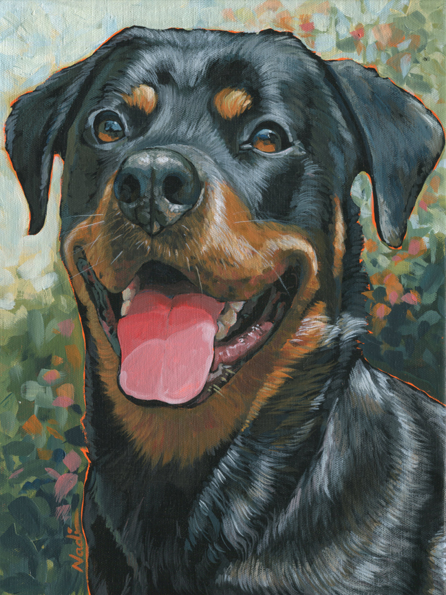 NS – Dogs, Rottweiller – 19-24 Lucy 16×12 © Nadi Spencer