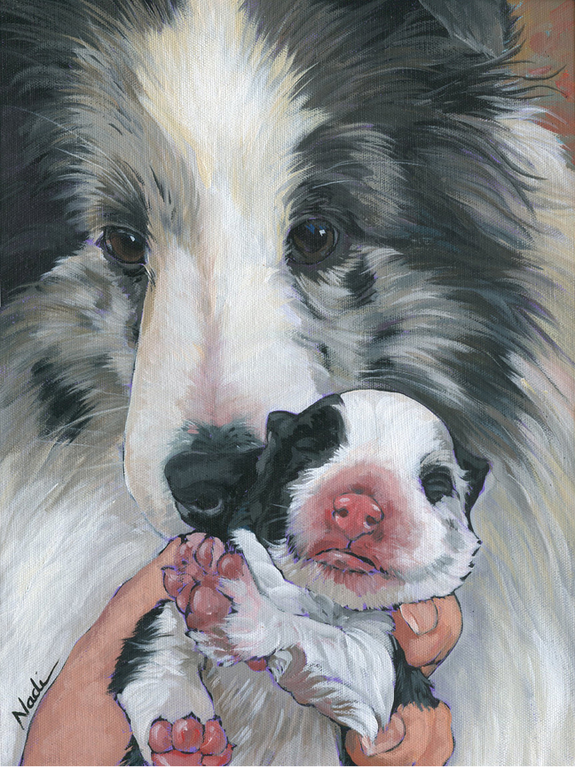 NS – Dogs, Sheltie – 20-166 Audrey and baby Wiki 12×9 © Nadi Spencer