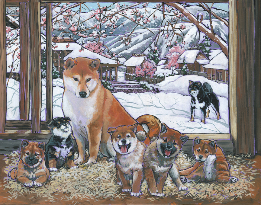 NS – Dogs, Shiba Inu, History of Dogs – 17-103 Yukisakura, Shiba Inu 22×28 © Nadi Spencer