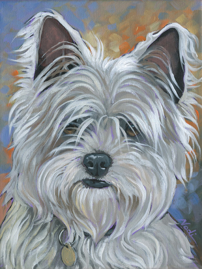NS – Dogs, Small Shaggy Breed – 21-137 Yodie 12×9 © Nadi Spencer