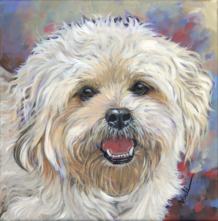NS – Dogs, Small Shaggy Breed – 23-103 Archie 10×10 © Nadi Spencer
