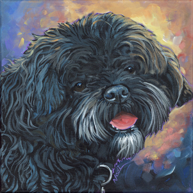 NS – Dogs, Small Shaggy Breed – 23-46 Lucy 10×10© Nadi Spencer
