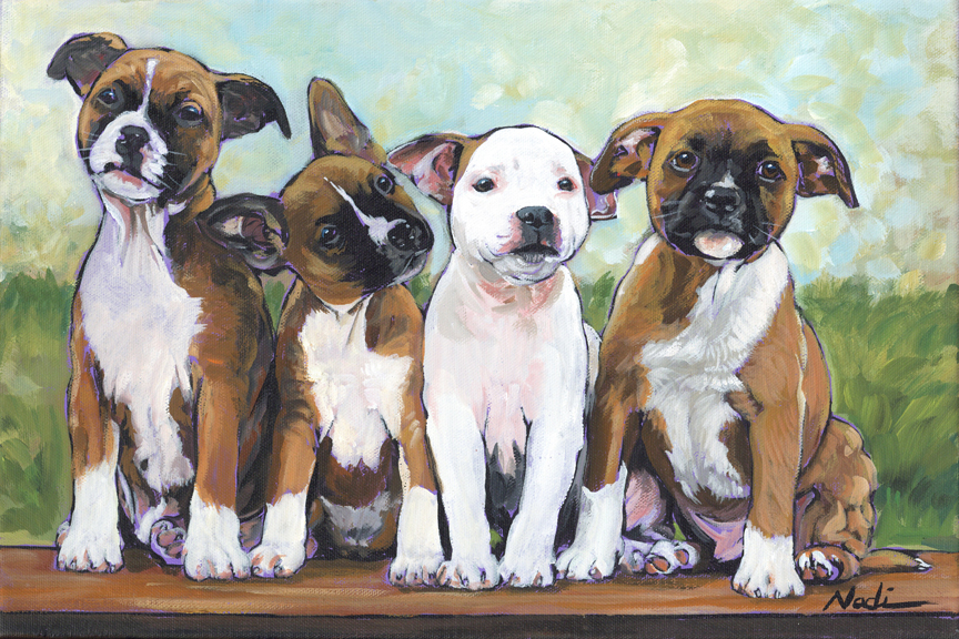 NS – Dogs, Staffordshire Terrier Puppies – 22-74 Four Staffy Pups 10×15 © Nadi Spencer