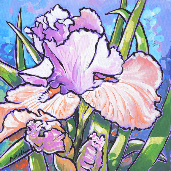 NS – Floral – 13-25 Iris #5, 8×8 © Nadi Spencer