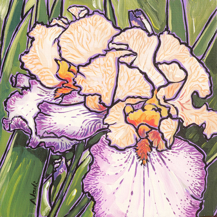 NS – Floral – 13-6 Iris #2, 10×10 © Nadi Spencer