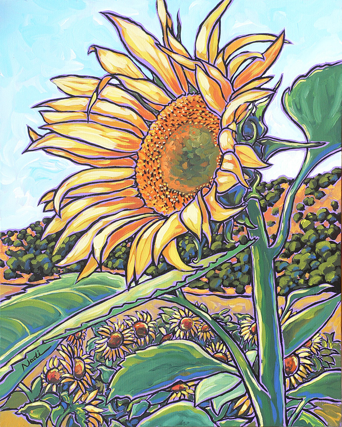 NS – Floral – 13-8 Sunflower 20×16 © Nadi Spencer