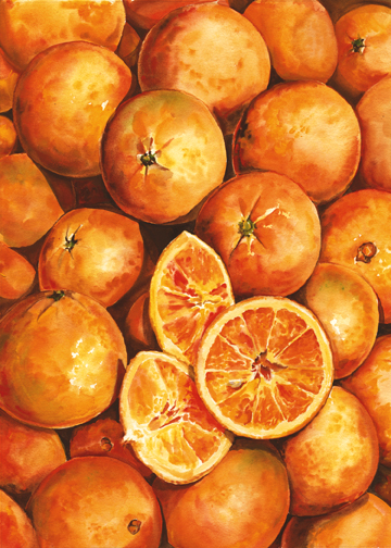 NS – Fruits and Veggies – Oranges 7×5 © Nadi Spencer