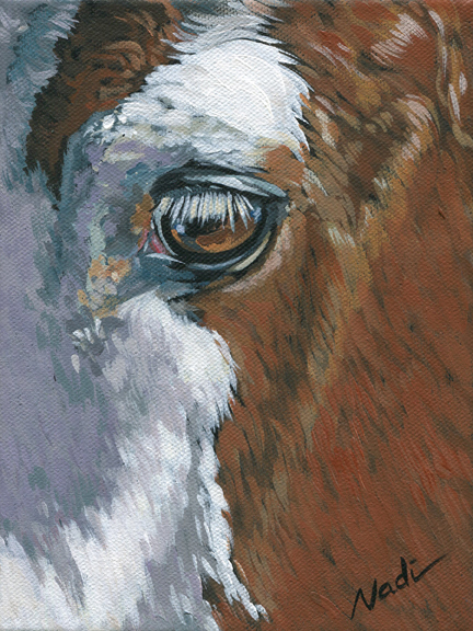 NS – Horses – 15-29 Paint Eye 8×6 © Nadi Spencer