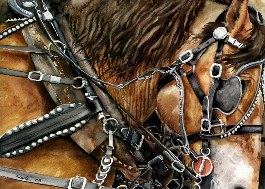 NS – Horses, Western – Buckskin 10×14 © Nadi Spencer