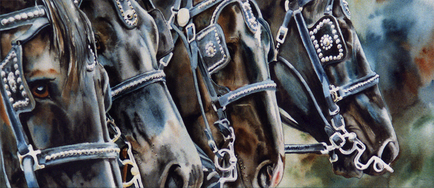 NS – Horses, Western – Four Shires 10×24 © Nadi Spencer