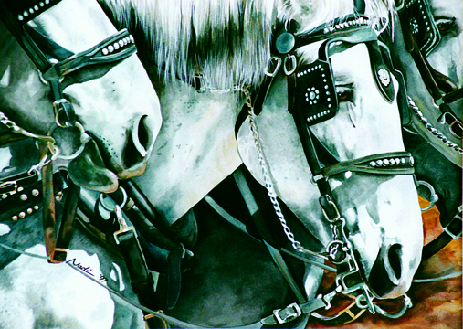 NS – Horses, Western – Three Grays Card © Nadi Spencer