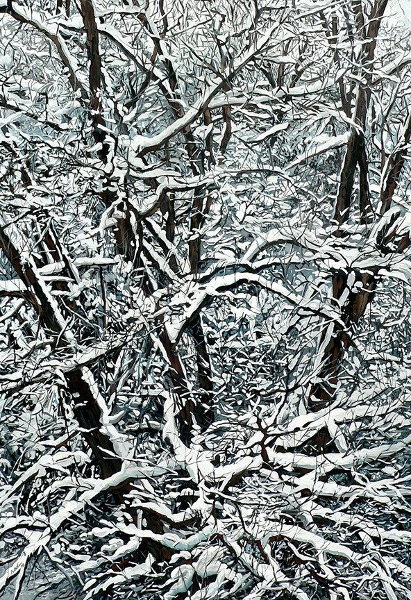 NS – Landscape, Sequoia – 09-6 Snow Tree 18×24 © Nadi Spencer