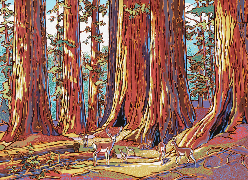NS – Landscape, Sequoia – 09-7 Sequoia Deer 10×14 © Nadi Spencer