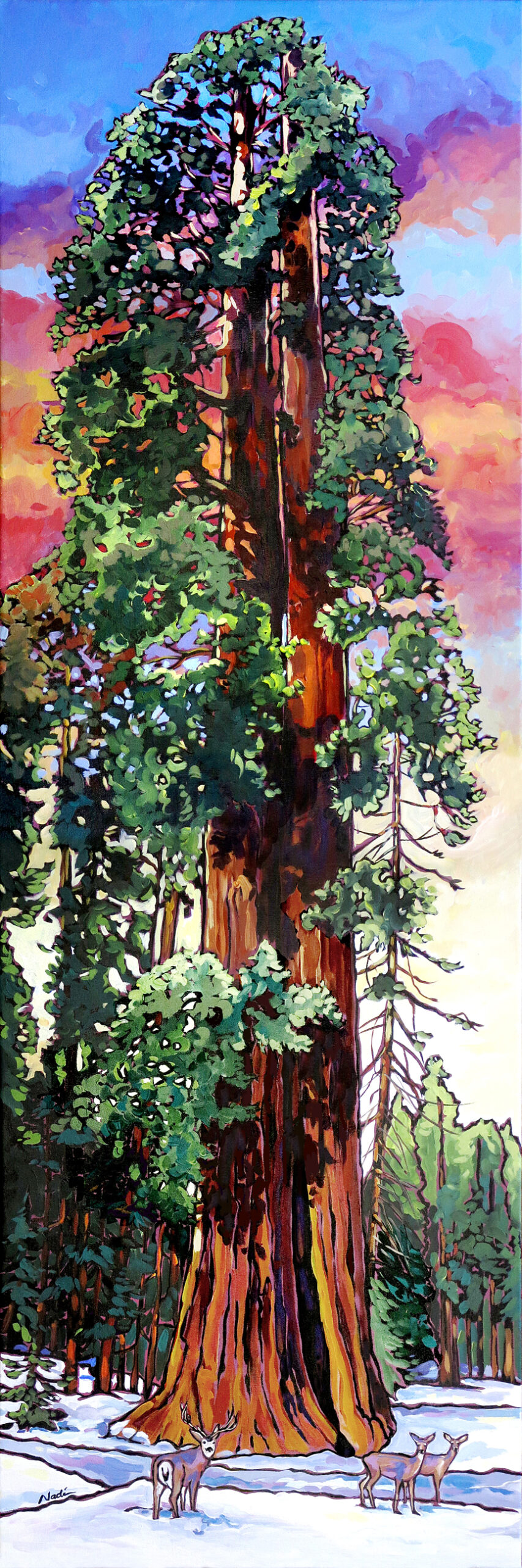 NS – Landscape, Sequoia – 12-110 Tanja Ed by Ned 20×60 © Nadi Spencer