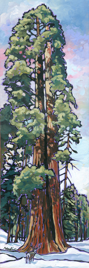 NS – Landscape, Sequoia – 14-27 Ed by Ned 24×8 © Nadi Spencer