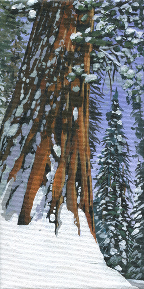 NS – Landscape, Sequoia – 19-218 Snow #5 © Nadi Spencer