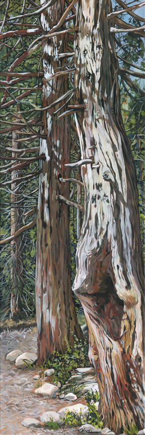 NS – Landscape, Sequoia – 19-229 Trees 30×10 © Nadi Spencer