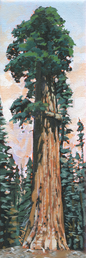 NS – Landscape, Sequoia – 19-46 Sequoia 12×4 © Nadi Spencer