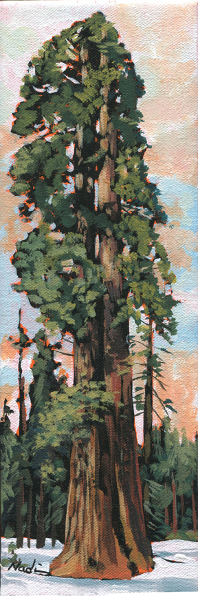 NS – Landscape, Sequoia – 19-50 Sequoia 12×4 © Nadi Spencer