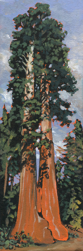 NS – Landscape, Sequoia – 19-57 Sequoia Tree #3 © Nadi Spencer