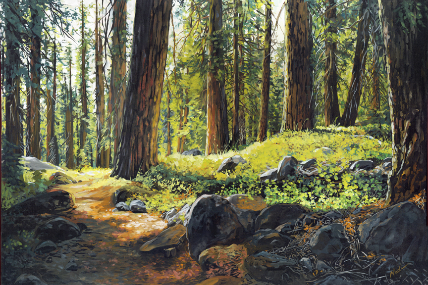 NS – Landscape, Sequoia – 22-37 Walk in the Forest 24×36 © Nadi Spencer