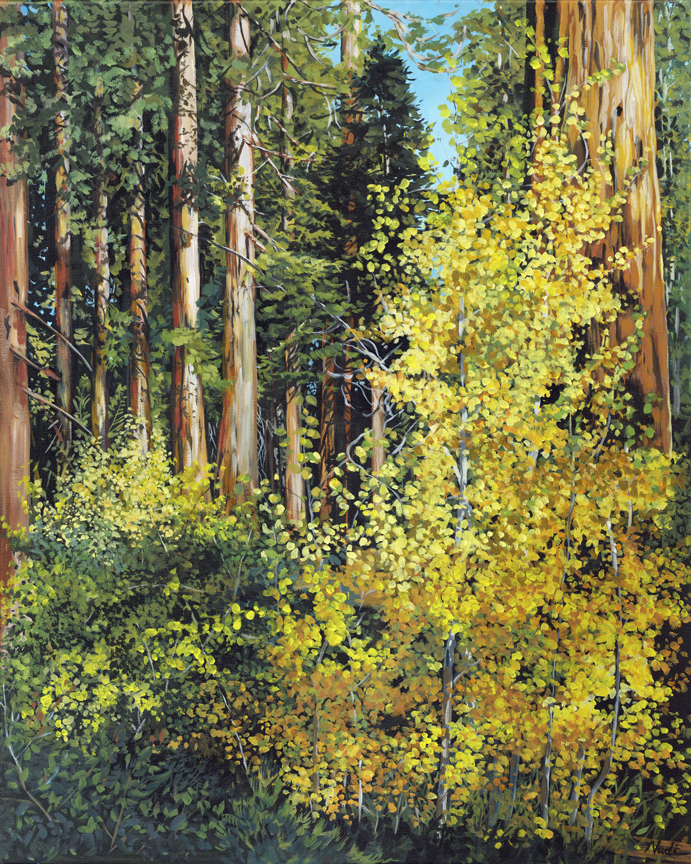 NS – Landscape, Sequoia – 22-38 Aspens 30×24 © Nadi Spencer