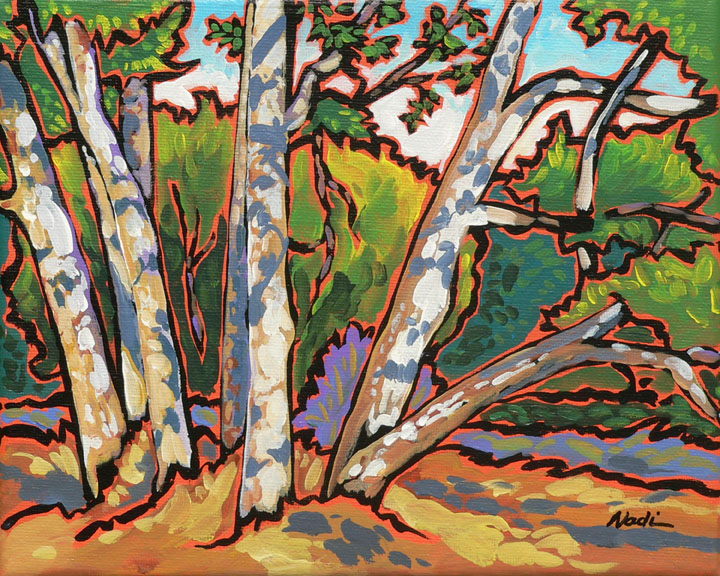 NS – Landscape, Three Rivers – 11-10 Sycamores 8×10 © Nadi Spencer