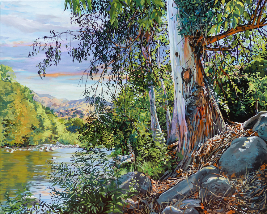 NS – Landscape, Three Rivers – 17-153 Meryl’s Tree 12×15 © Nadi Spencer