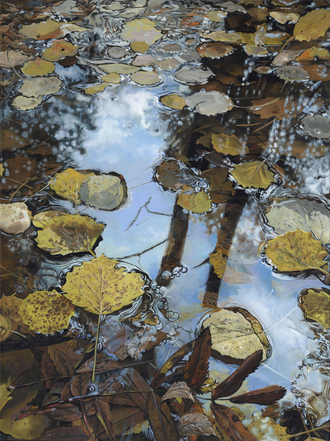 NS – Landscape, Three Rivers – 23-18 Leaves in River 40×30 © Nadi Spencer