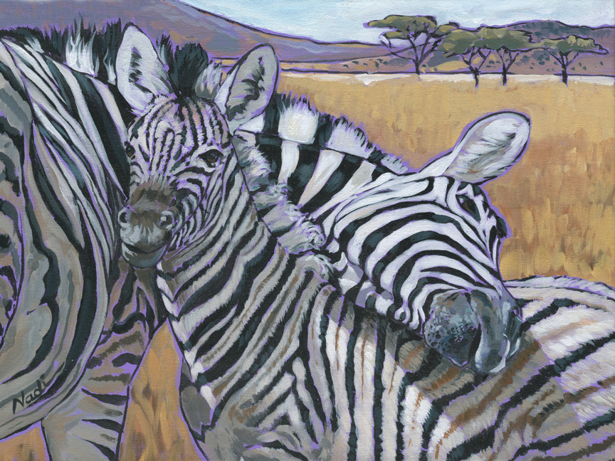 NS – Wildlife – 17-122 Zebras © Nadi Spencer