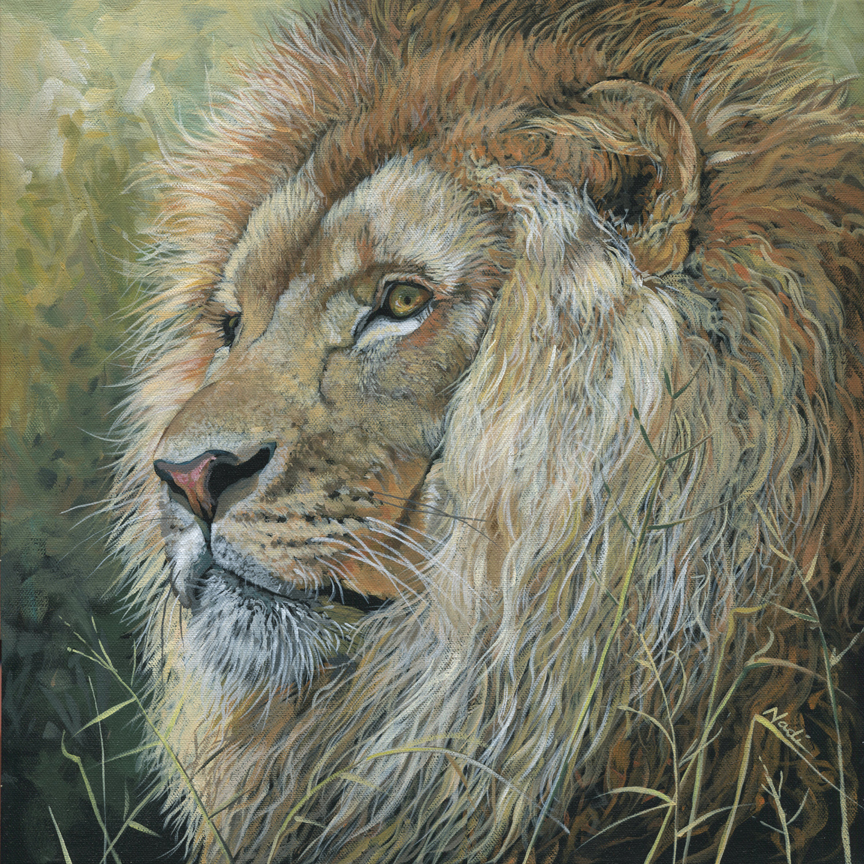 NS – Wildlife – 17-195 Lion 16×16 © Nadi Spencer