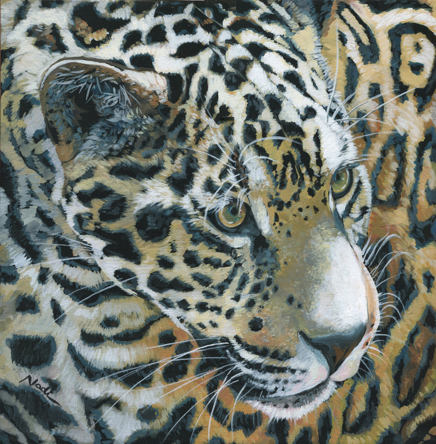 NS – Wildlife – 17-210 Jaguar 16×16 © Nadi Spencer