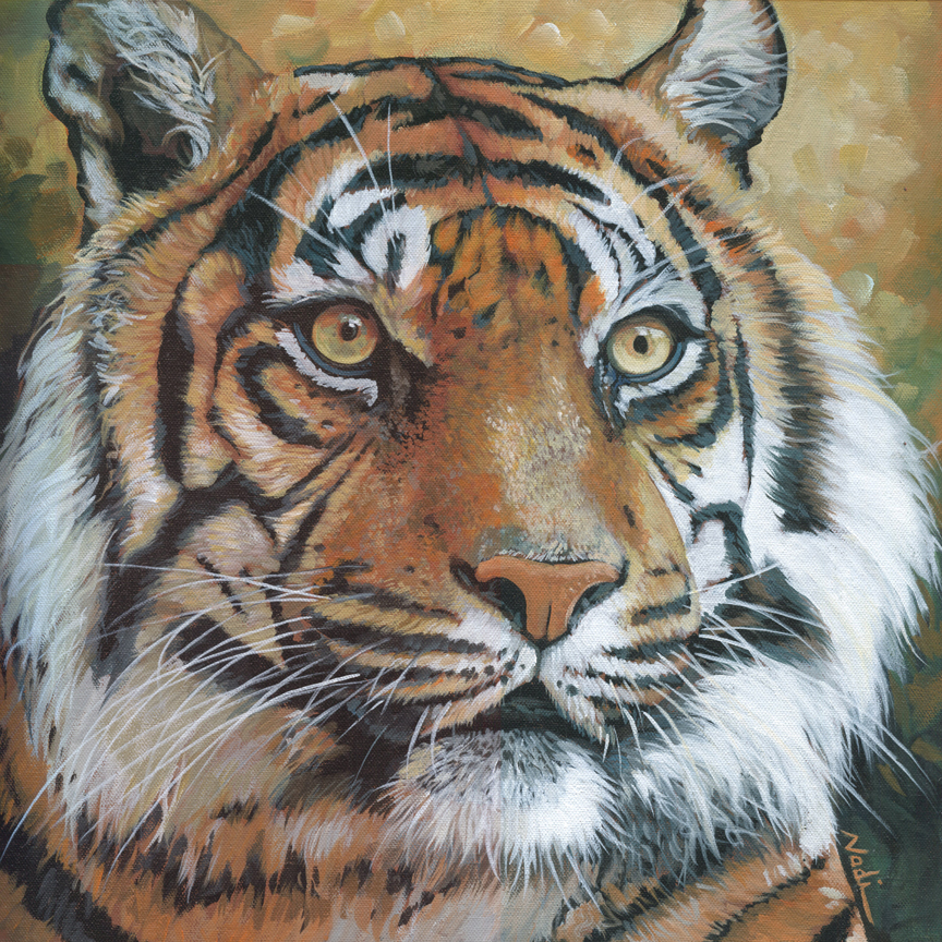 NS – Wildlife – 17-215 Tiger 16×16 © Nadi Spencer