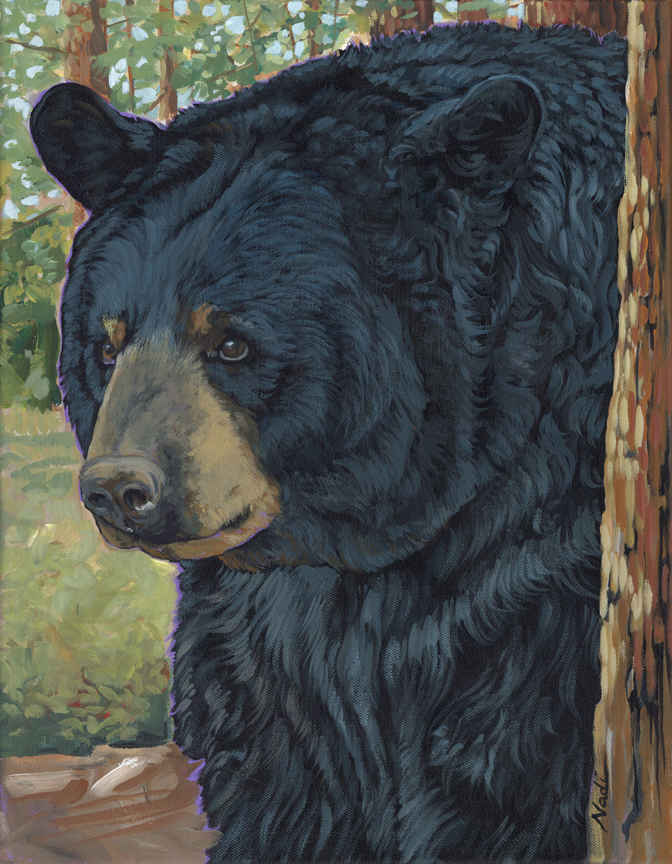 NS – Wildlife – 22-91 Black Bear 18×14 © Nadi Spencer