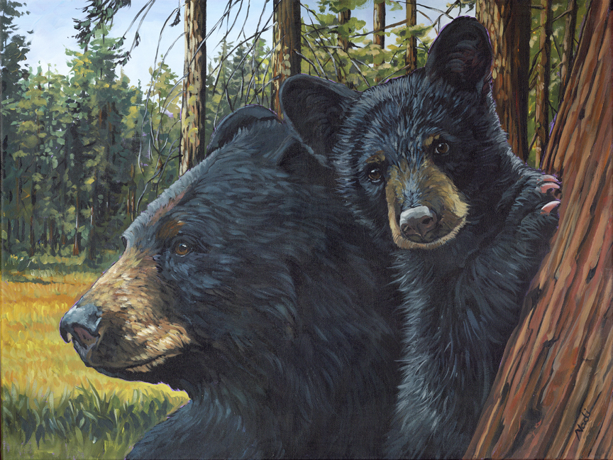 NS – Wildlife – 23-16 Black Bear and Cub © Nadi Spencer