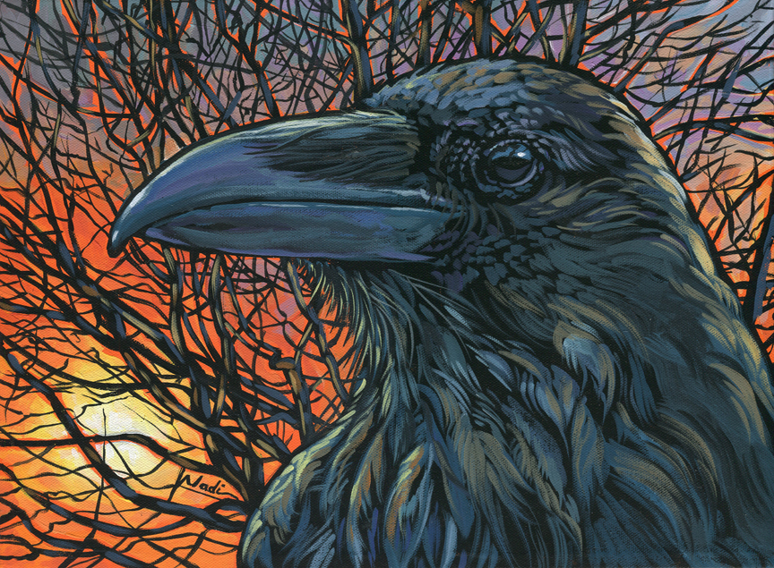 NS – Wildlife, Raven – 14-81 Raven Orange 11×15 © Nadi Spencer